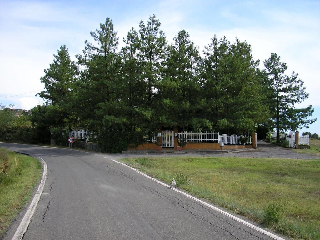 Spineto Scrivia Villa Carmen מראה חיצוני תמונה